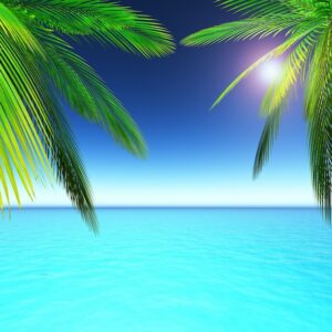 Getting your Business off the ground